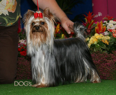 Bélinda du domaine de Syrinx